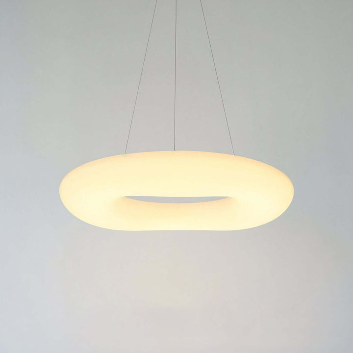 Chrysanthemum Nordic Ceiling Light